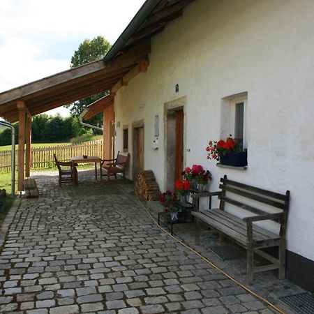 Ferienhaus Winter Blaibach Buitenkant foto