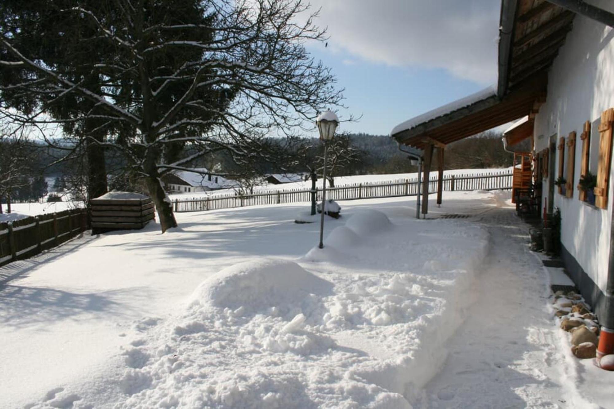 Ferienhaus Winter Blaibach Buitenkant foto